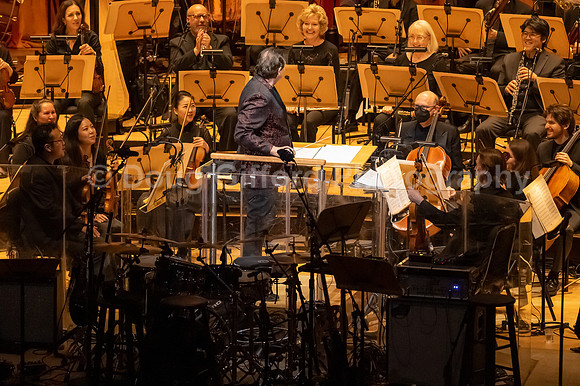 Pacific Symphony Pops - Renée Elise Goldsberry