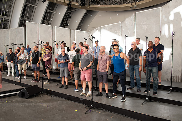 MenAlive at the Hollywood Bowl