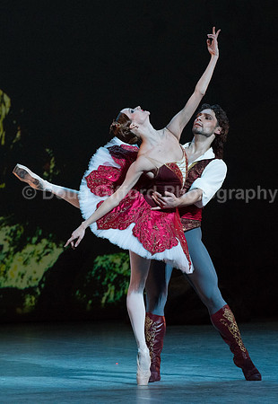 Mikhailovsky Ballet
