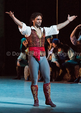 Mikhailovsky Ballet