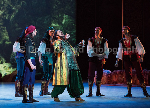 Mikhailovsky Ballet
