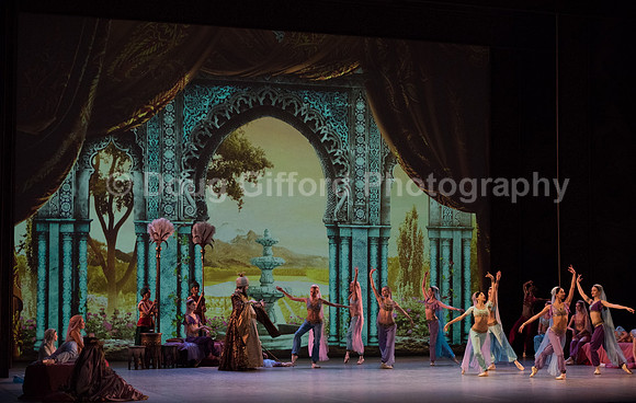 Mikhailovsky Ballet