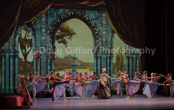 Mikhailovsky Ballet
