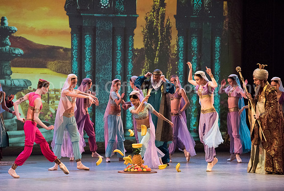 Mikhailovsky Ballet
