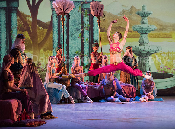 Mikhailovsky Ballet