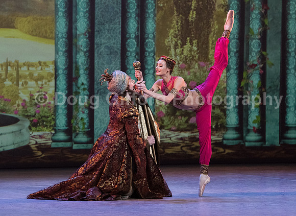 Mikhailovsky Ballet