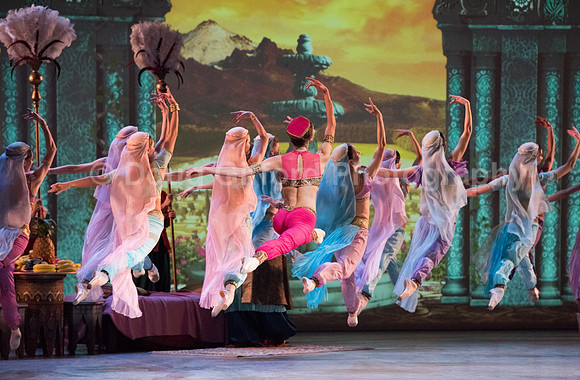 Mikhailovsky Ballet
