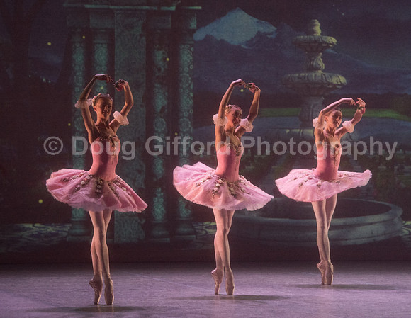 Mikhailovsky Ballet