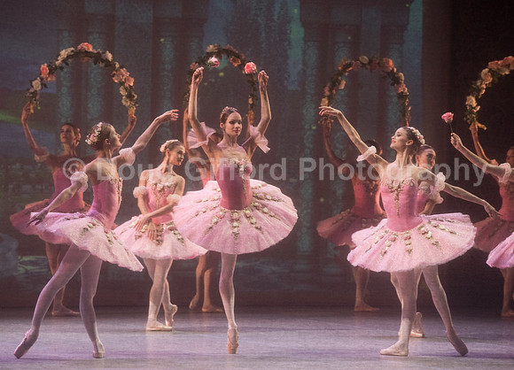 Mikhailovsky Ballet