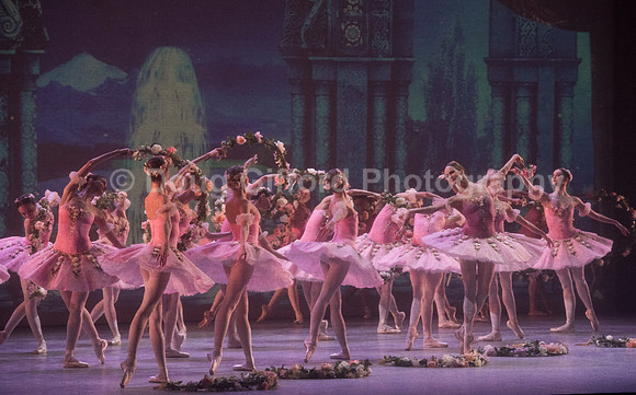 Mikhailovsky Ballet