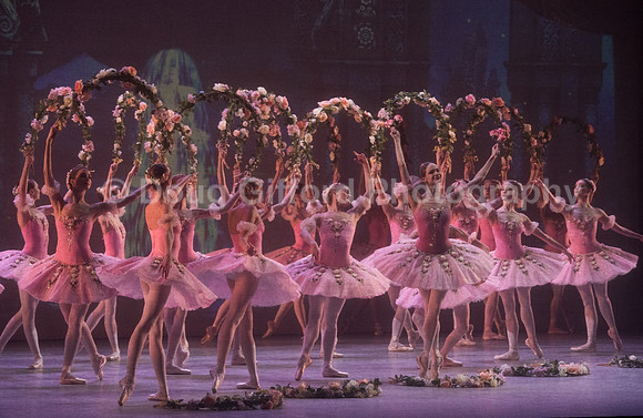 Mikhailovsky Ballet