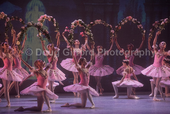 Mikhailovsky Ballet