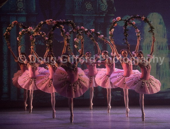 Mikhailovsky Ballet