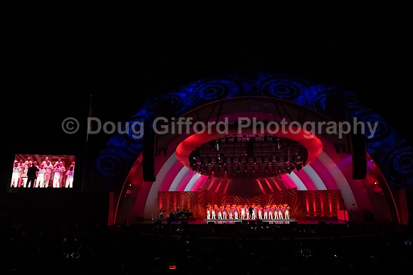 MenAlive at the Hollywood Bowl