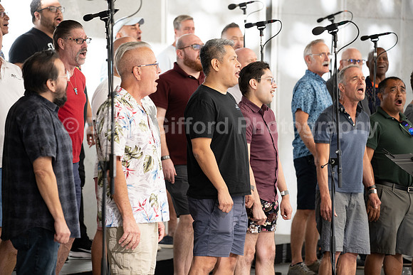 MenAlive at the Hollywood Bowl
