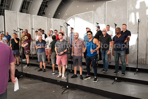 MenAlive at the Hollywood Bowl