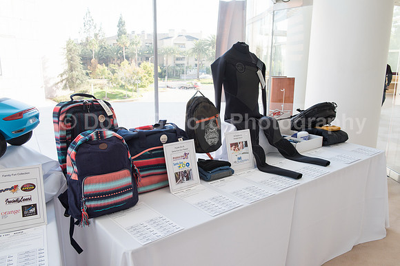 Harvesters Fashion Show & Luncheon 2016