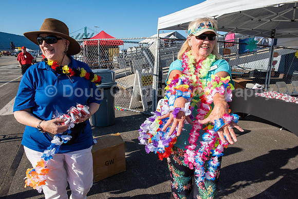 Aloha Send Off Party