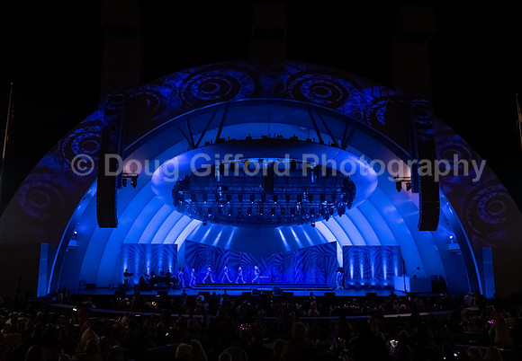MenAlive at the Hollywood Bowl