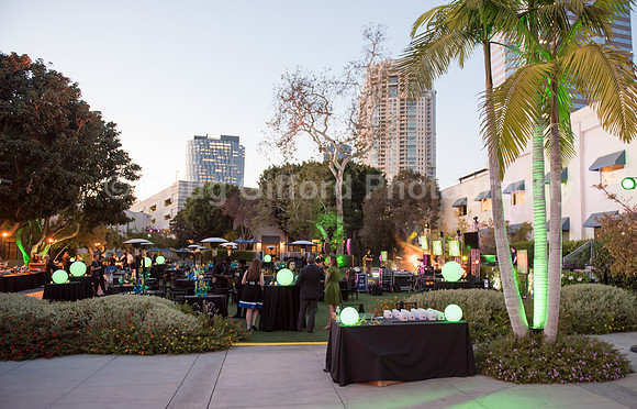 Tulane UniversityThird Annual Lagniappe