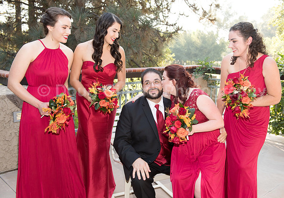 Krauss Wedding