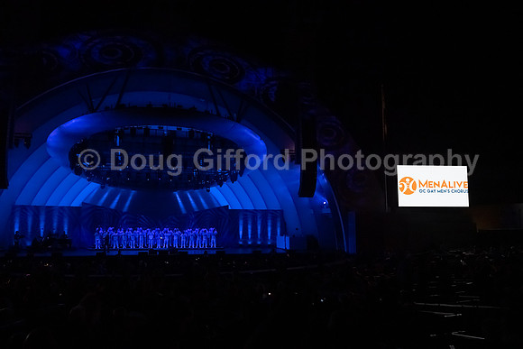 MenAlive at the Hollywood Bowl
