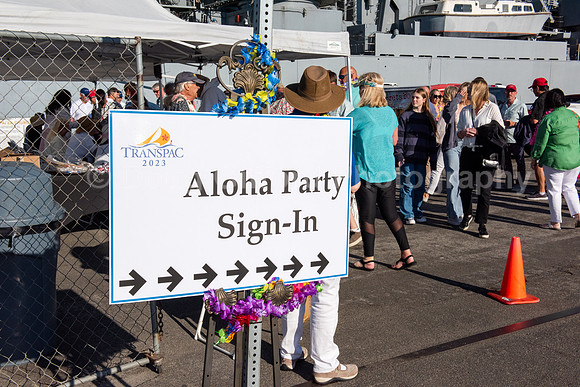 Aloha Send Off Party