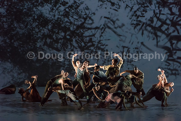 Cloud Gate - Dance Theatre of Taiwan