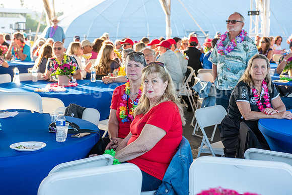 Aloha Send Off Party