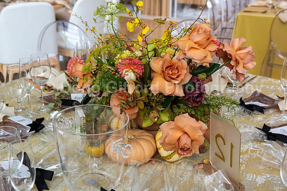 Harvesters Fashion Show & Luncheon 2023