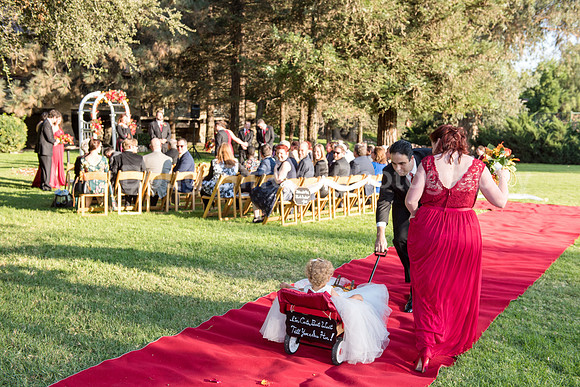 Krauss Wedding