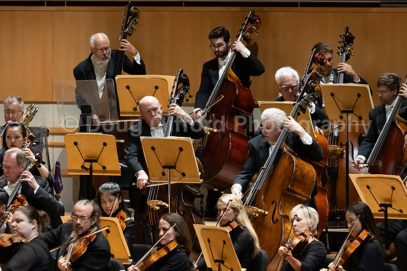 Sibelius' Violin Concerto