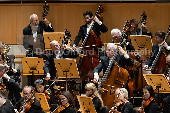 Sibelius' Violin Concerto