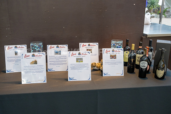 Pacific Marine Mammal Center "Splash" 2023 Gala
