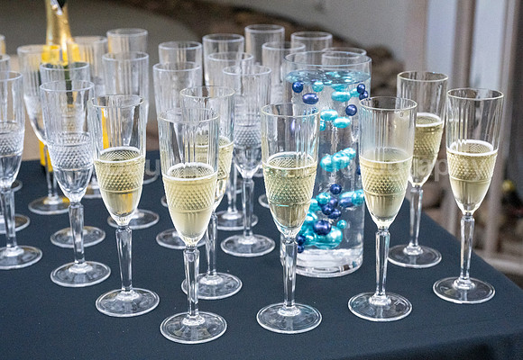 Pacific Marine Mammal Center "Splash" 2023 Gala