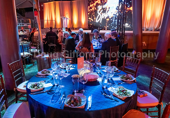Pacific Marine Mammal Center "Splash" 2023 Gala