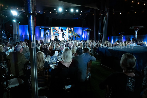 Pacific Marine Mammal Center "Splash" 2023 Gala