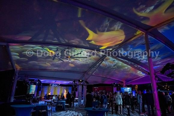 Pacific Marine Mammal Center "Splash" 2023 Gala