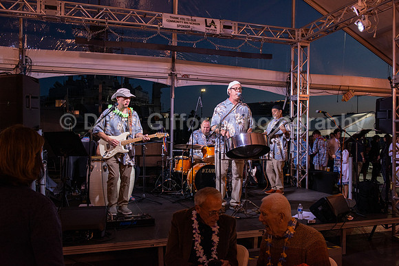 Aloha Send Off Party