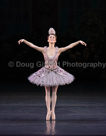 ABT - Harlequinade