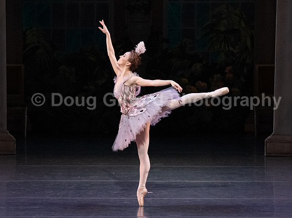 ABT - Harlequinade