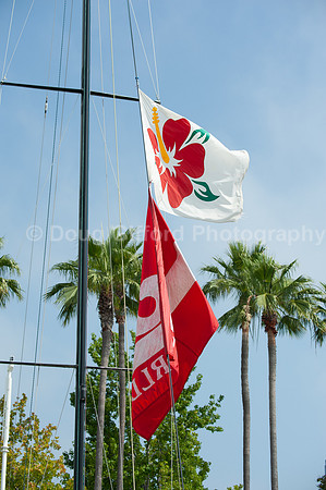 Transpac 2019