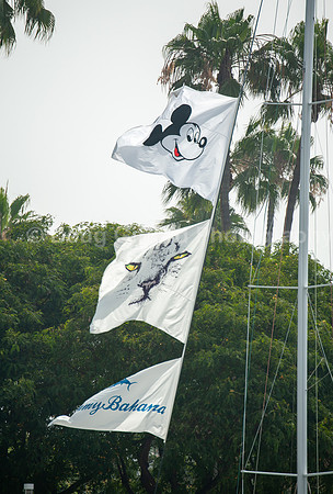 Transpac 2019