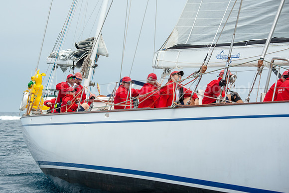 Transpac 2019