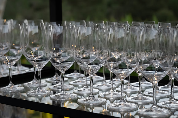 Pacific Symphony 2024 Gala: Starry Night Kickoff Event