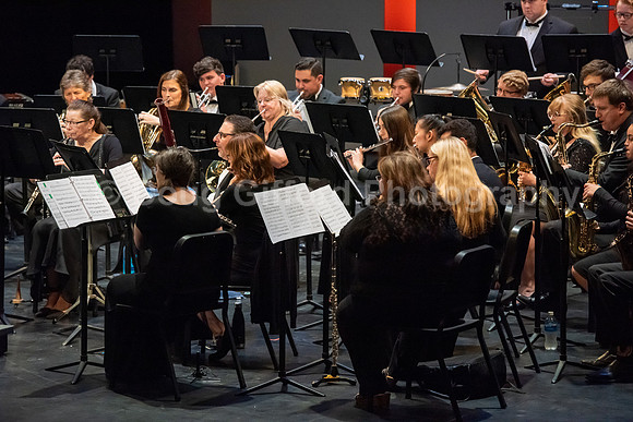Wind Ensemble in Concert