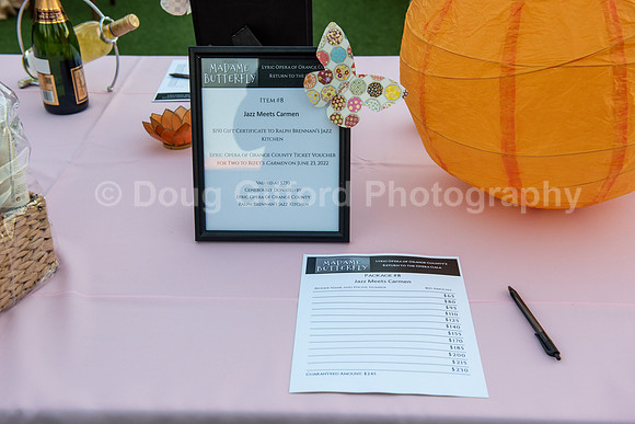 Lyric Opera of Orange County - Return to the Opera Gala Event