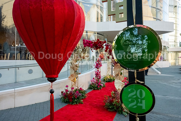 Lunar New Year