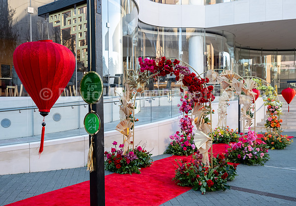 Lunar New Year