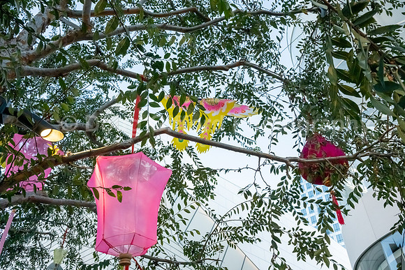 Lunar New Year